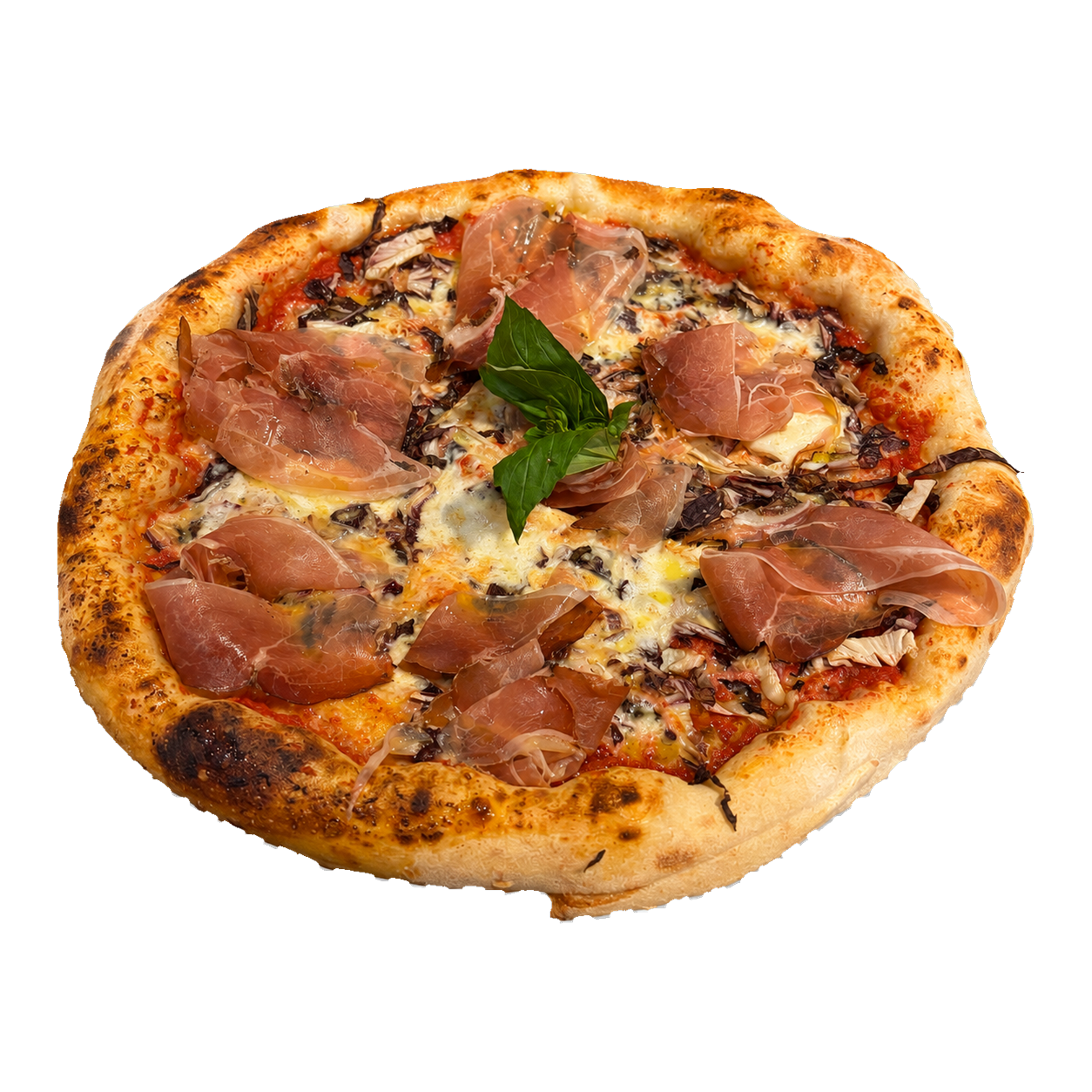 Campanella